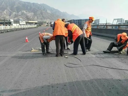 丹凤道路桥梁病害治理